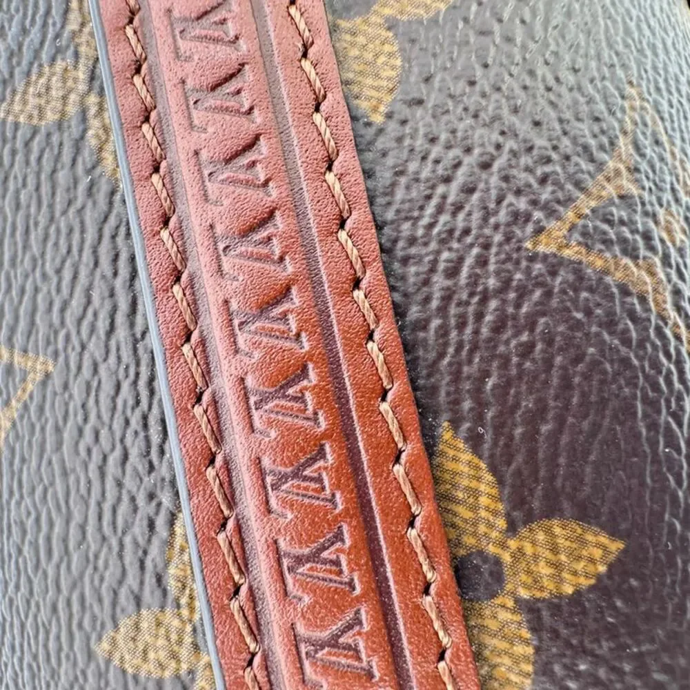 Louis Vuitton Papillon Trunk bag in Brown Nylon Canvas